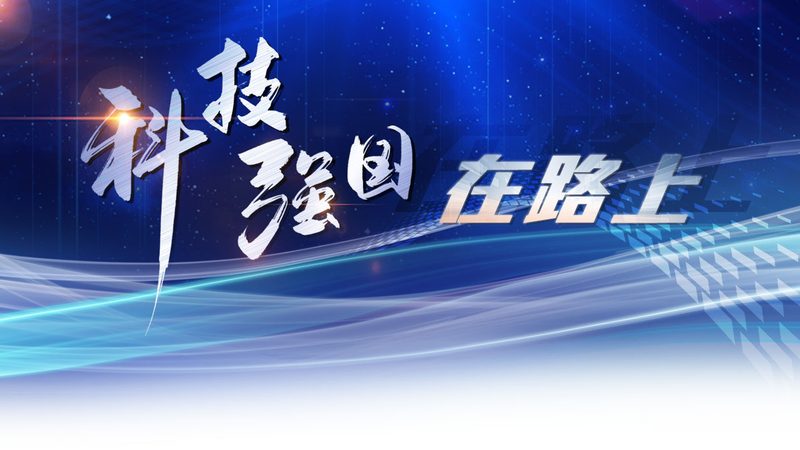 企业搜索安全配置：如何构建高效且安全的搜索解决方案**